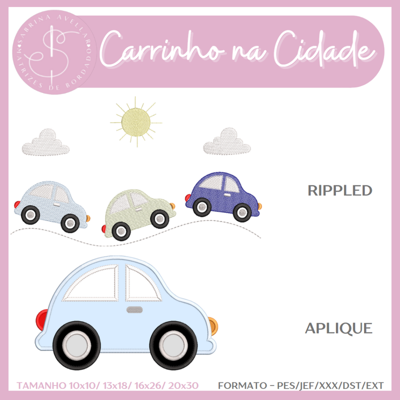 CARROS_06