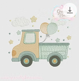 CARROS_29
