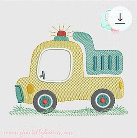 CARROS_33