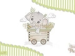 SAFARI_172